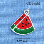 C1476 - Watermelon - Piece - Silver Charm