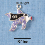 C1877* - Fun Fish-Superman - Silver Charm